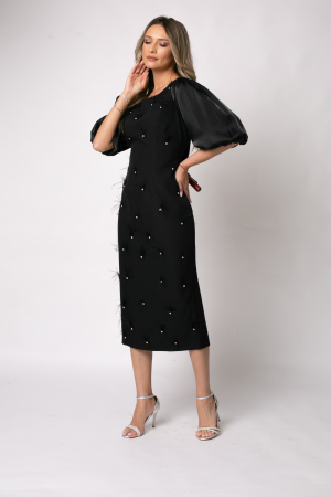 Rochie neagră elegantă accsorizată cu pene [1]