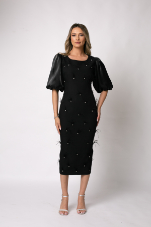 Rochie neagră elegantă accsorizată cu pene [3]