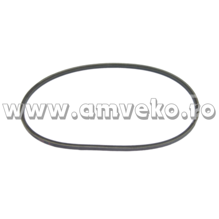 Curea in V pompa apa stivuitor Hyster D187 motor GM3.0L - 10099698 - Amveko Industry [1]