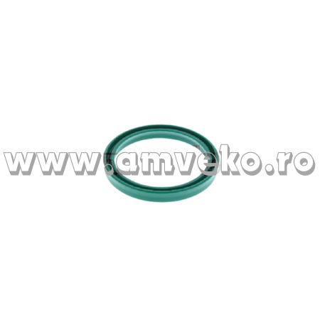 Garnitura cilindru translatie stivuitor Linde 394 - 10091288 [1]