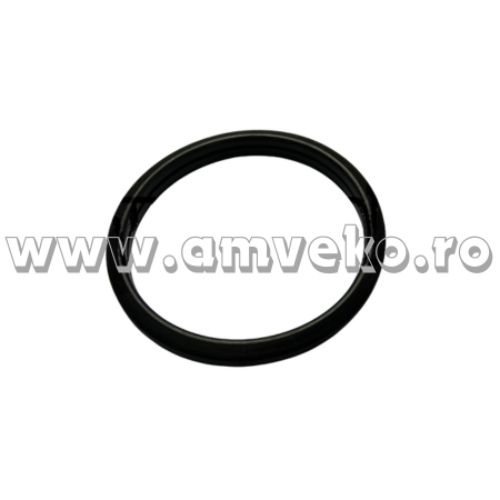 Garnitura termostat stivuitor Daewoo - 10078984 - Amveko Industry [1]