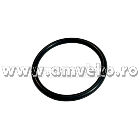 Inel de praf cilindru translatie stivuitor Linde 324 - 10048797 [1]