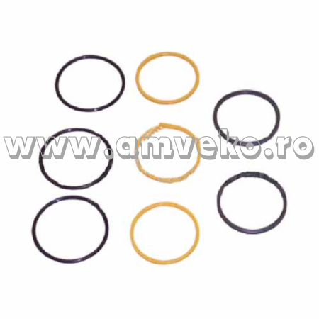Kit garnituri recuperatoare furtun stivuitor Balkancar DV179228113d - 10076515 [1]