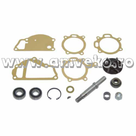 Kit reparatie pompa apa stivuitor Balkancarm motor Perkins - 10078290 [1]