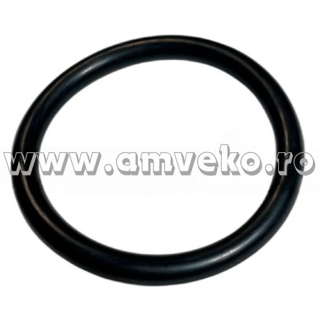 O-ring buson capac culbutori stivuitor Balkancar D3900 - 10066543 [1]