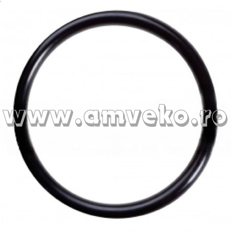 O-ring distribuitor hidraulic stivuitor Balkancar 5571 - 10127748 [1]