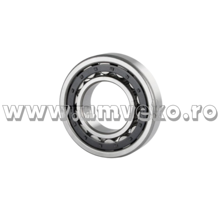 Rulment cutie viteze stivuitor Balkancar  - 10141418 [1]