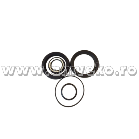 Set garnituri cilindru 90xs stivuitor Balkancar - 10033661 [1]