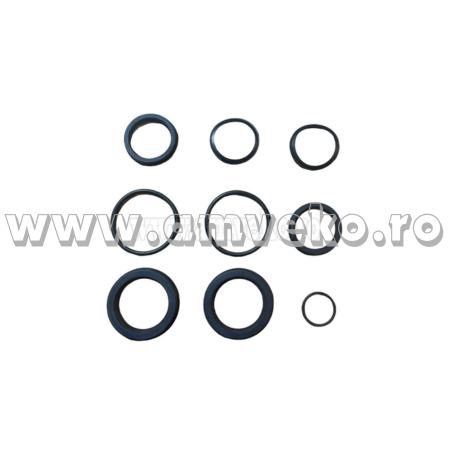 Set garnituri cilindru directie 80x50xs stivuitor Balkancar DV1792 - 10095951 [1]