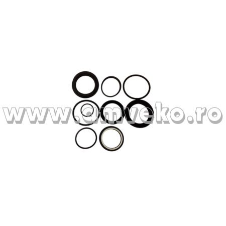 Set garnituri cilindru servodirectie stivuitor Balkancar 80x187/55 - 10066593 [1]