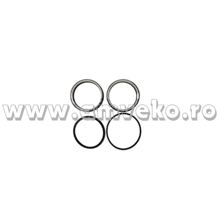 Set simeringuri cilindru directie stivuitor 55xs Balkancar DV1792 - 10066590 [1]
