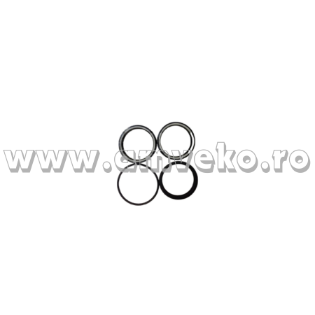 Set simeringuri cilindru ridicare 65xs/sx1650 mm stivuitor Balkancar, tija 65 mm - 10066615 [1]