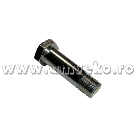 Surub pompa hidraulica stivuitor Balkancar DV1733 - 10126683 [1]