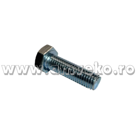 Surub prindere cilindru directie stivuitor Balkancar DV1792 - 10066447 [1]