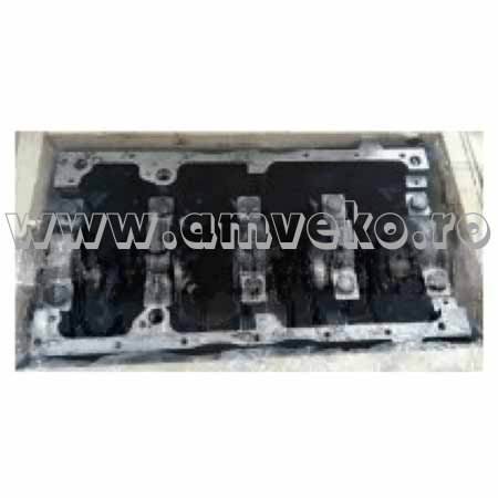 Piese motor Balkancar - Bloc motor stivuitor Balkancar - 10098791