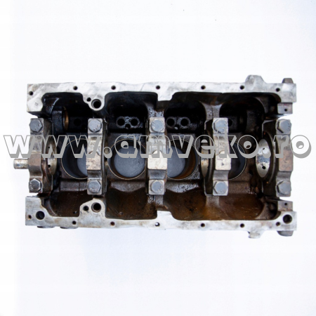 Piese motor Balkancar - Bloc motor stivuitor Balkancar D3900 - 10107028
