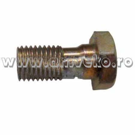 Piese motor Balkancar - Bolt conducta pompa injectie stivuitor Balkancar D2500 - 10125112