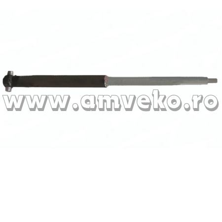 Catarg Balkancar - Cilindru ridicare stivuitor Balkancar DV1661 - 10081953
