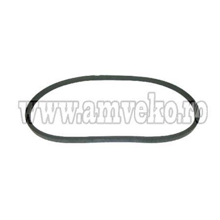 Alternatoare - Curea alternator stivuitor 17x11mm Toyota - 10071032 - Amveko Industry