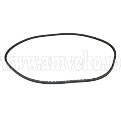 Piese motor - Curea in V stivuitor - 10115248 - Amveko Industry