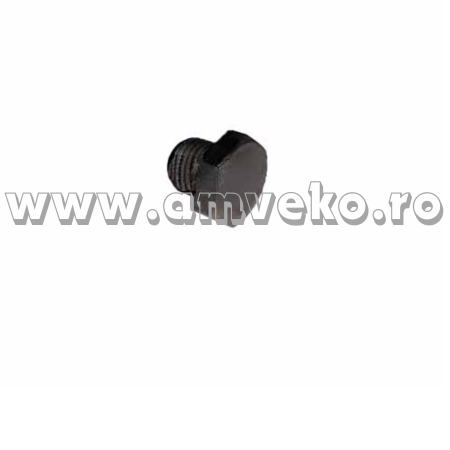 Piese motor Balkancar - Dop pompa injectie stivuitor Balkancar  - 10117779