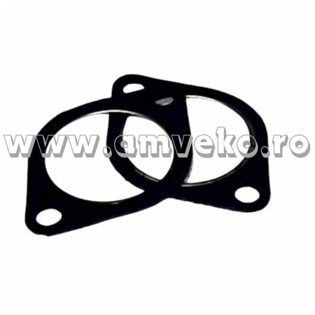 Piese motor Balkancar - Garnitura flansa pompa KTM stivuitor Balkancar 6855010007, DV1663.33.1 - 10073951