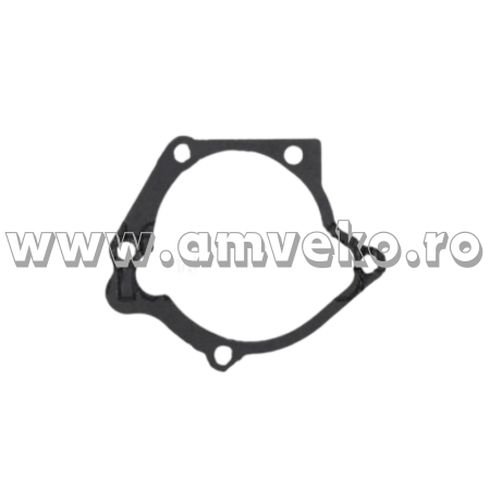 Sistem racire - Garnitura pompa apa stivuitor Hyster - 10168700 - Amveko Industry