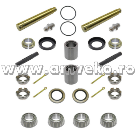 Kit-uri - Kit ax fuzetă Hyster F001 - Amveko Industry