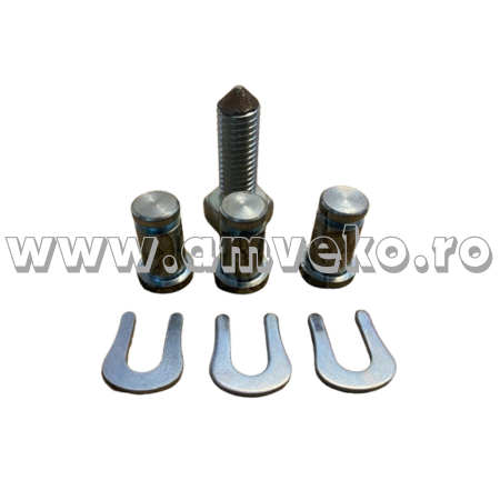 Kit-uri - Kit bolturi surub stivuitor - 10157430 - Amveko Industry
