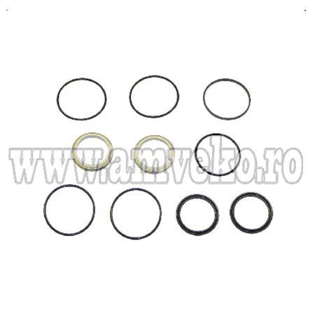 Kit-uri - Kit garnituri cilindru directie stivuitor Komatsu - 10102654 - Amveko Industry