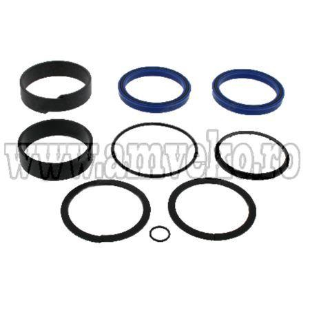 Kit-uri - Kit garnituri cilindru hidraulic stivuitor Hyster A177 - 10081630 - Amveko Industry