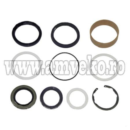 Kit-uri - Kit garnituri cilindru inclinare stivuitor TCM  - 10100299 - Amveko Industry