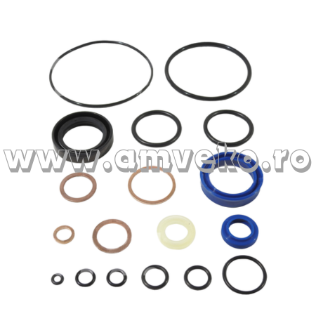 Kit-uri - Kit garnituri cilindru ridicare stivuitor  - 10078377 - Amveko Industry