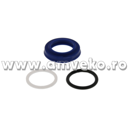 Kit-uri - Kit garnituri cilindru ridicare stivuitor Yale - 10072985 - Amveko Industry