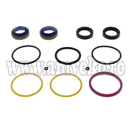 Kit-uri - Kit garnituri cilindru translatie stivuitor  - 10096210 - Amveko Industry