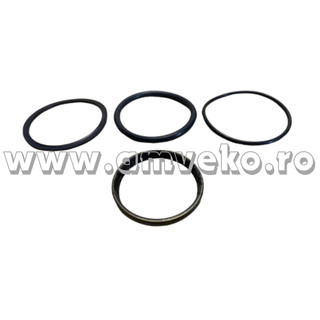 Kit-uri - Kit garnituri stivuitor  - 10155860