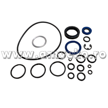 Kit-uri - Kit garnituri stivuitor - 10155863