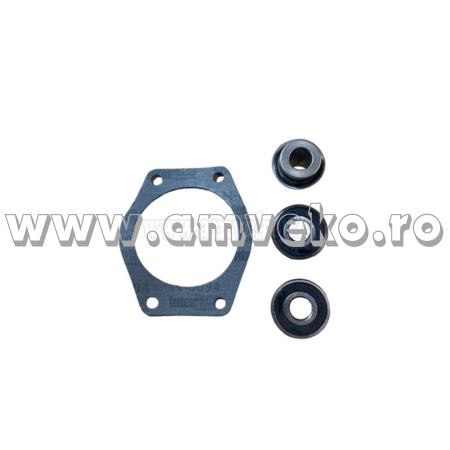 Kit-uri - Kit reparatie pompa apa  stivuitor Balkancar 2500 - 10102432