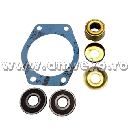 Sistem racire - Kit reparatie pompa apa stivuitor Balkancar presetupa veche - 10084852