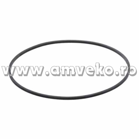 Transmisie Balkancar - O-ring patrat transmisie stivuitor Balkancar  6855, 6860 - 10066547