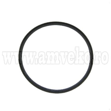 Alte piese transmisie - O-Ring placa presiune  stivuitor Daewoo - 10037132
