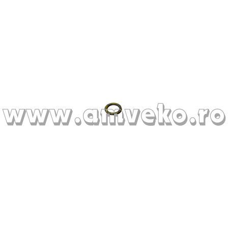 Sistem franare Balkancar - Saiba conducta frana conducta alimentare stivuitor Balkancar D2500, D3900 - 10066574