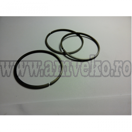 Transmisie Balkancar - Segment (FI60 mm) convertizor stivuitor Balkancar - 10033438