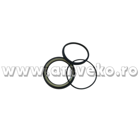 Sistem directie Balkancar - Set garnituri cilindru directie stivuitor Balkancar  63x1660 - 10065400