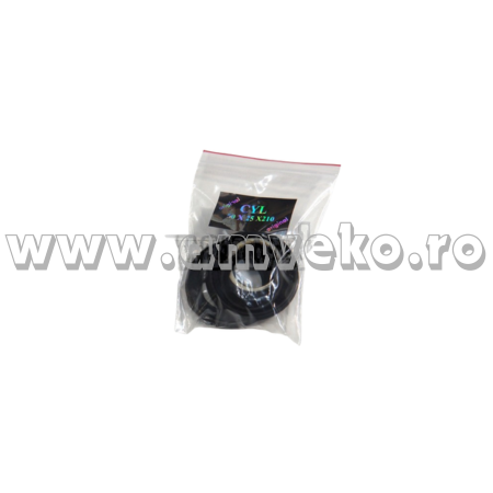 Sistem directie Balkancar - Set garnituri directie stivuitor Balkancar DV1733 - 10078140