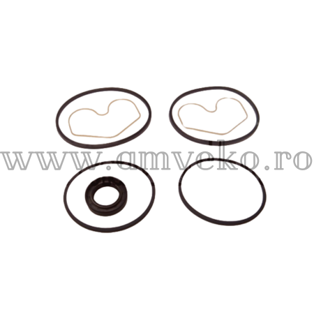 Sistem hidraulic Balkancar - Set garnituri pompa hidraulica stivuitor Balkancar - 10080770