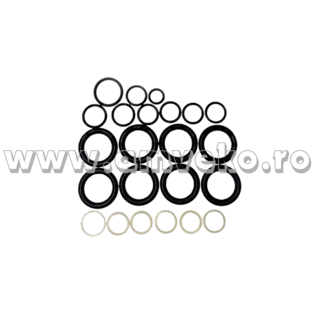 Sistem hidraulic Balkancar - Set garnituri valva stivuitor Balkancar 4P80 - 10084799