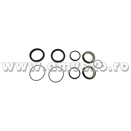 Sistem directie Balkancar - Set simeringuri cilindru directie stivuitor Balkancar 63X40X195/140/115 - 10066610