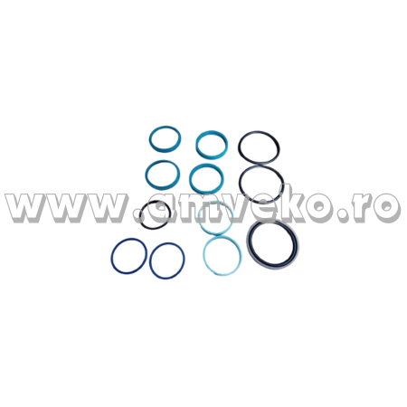 Sistem directie Balkancar - Set simeringuri cilindru directie stivuitor Balkancar DV1638 - 10082609