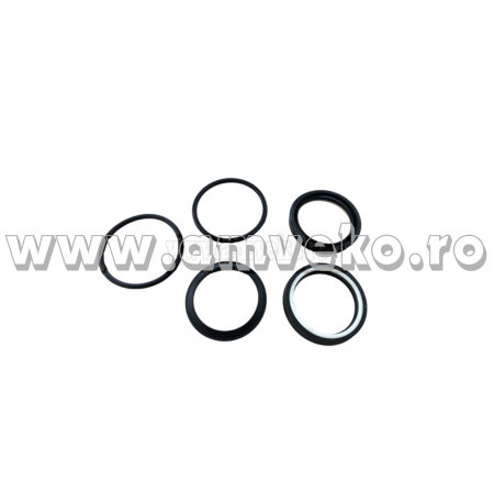 Sistem directie Balkancar - Set simernguri cilindru directie stivuitor Balkancar  - 10122992